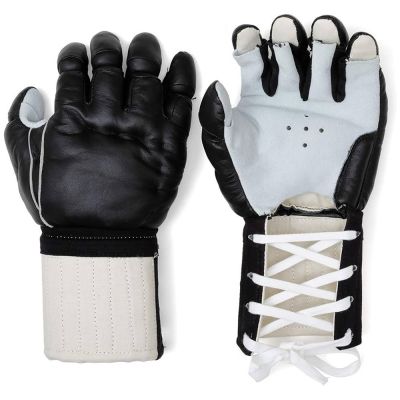 Sparring Gloves