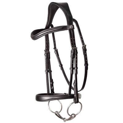 Reins