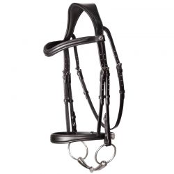 Reins