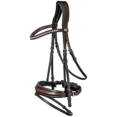 Reins