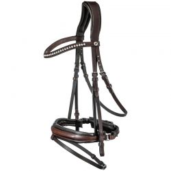 Reins