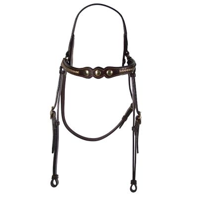 Reins