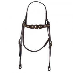 Reins