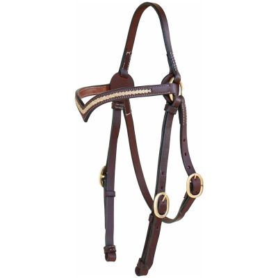 Reins