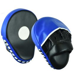 Focus Mitts