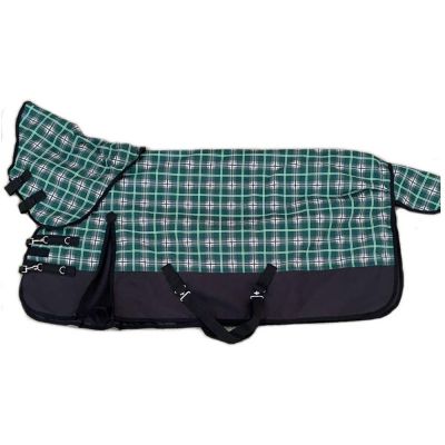 Horse Blanket