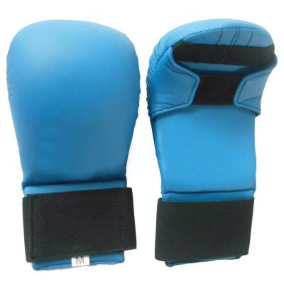Sparring Gloves