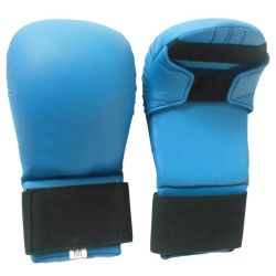 Sparring Gloves